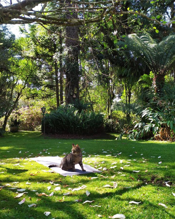 Casa Goldoni Gramado 4 Quartos Luaran gambar