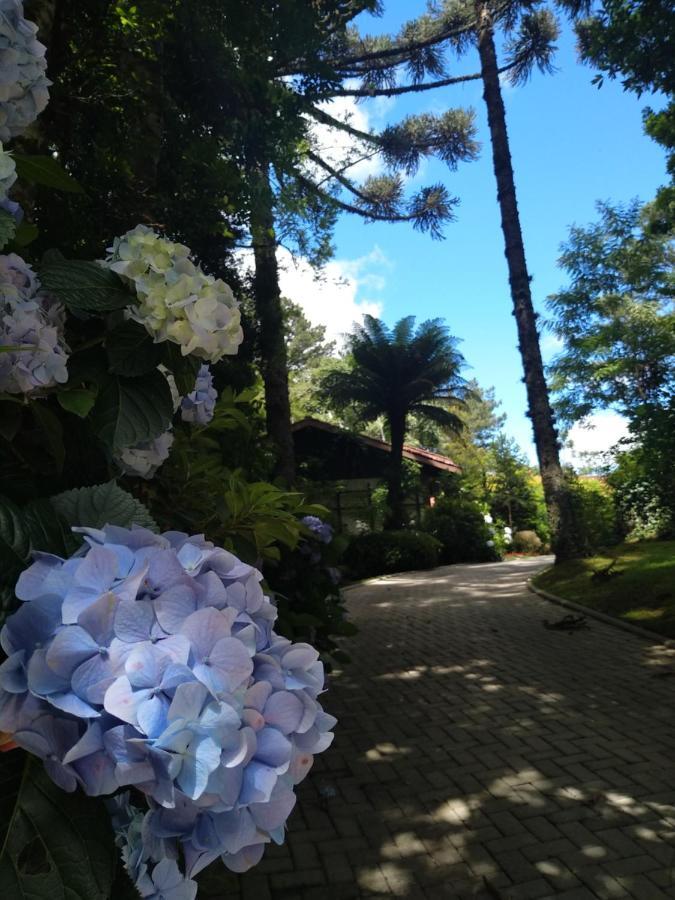 Casa Goldoni Gramado 4 Quartos Luaran gambar